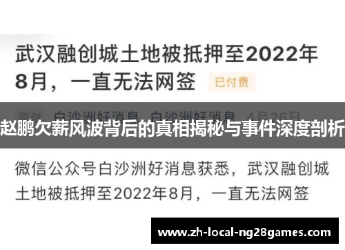 赵鹏欠薪风波背后的真相揭秘与事件深度剖析