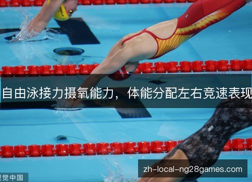 自由泳接力摄氧能力,体能分配左右竞速表现 自由泳接力摄氧能力,体能分配左右竞速表现