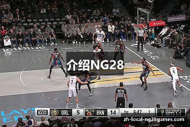 介绍NG28